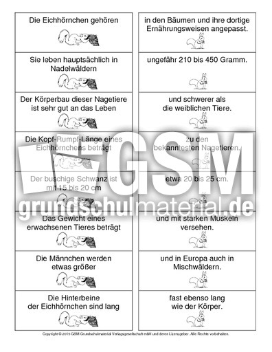 Eichhörnchen-Satzteile-verbinden-1.pdf